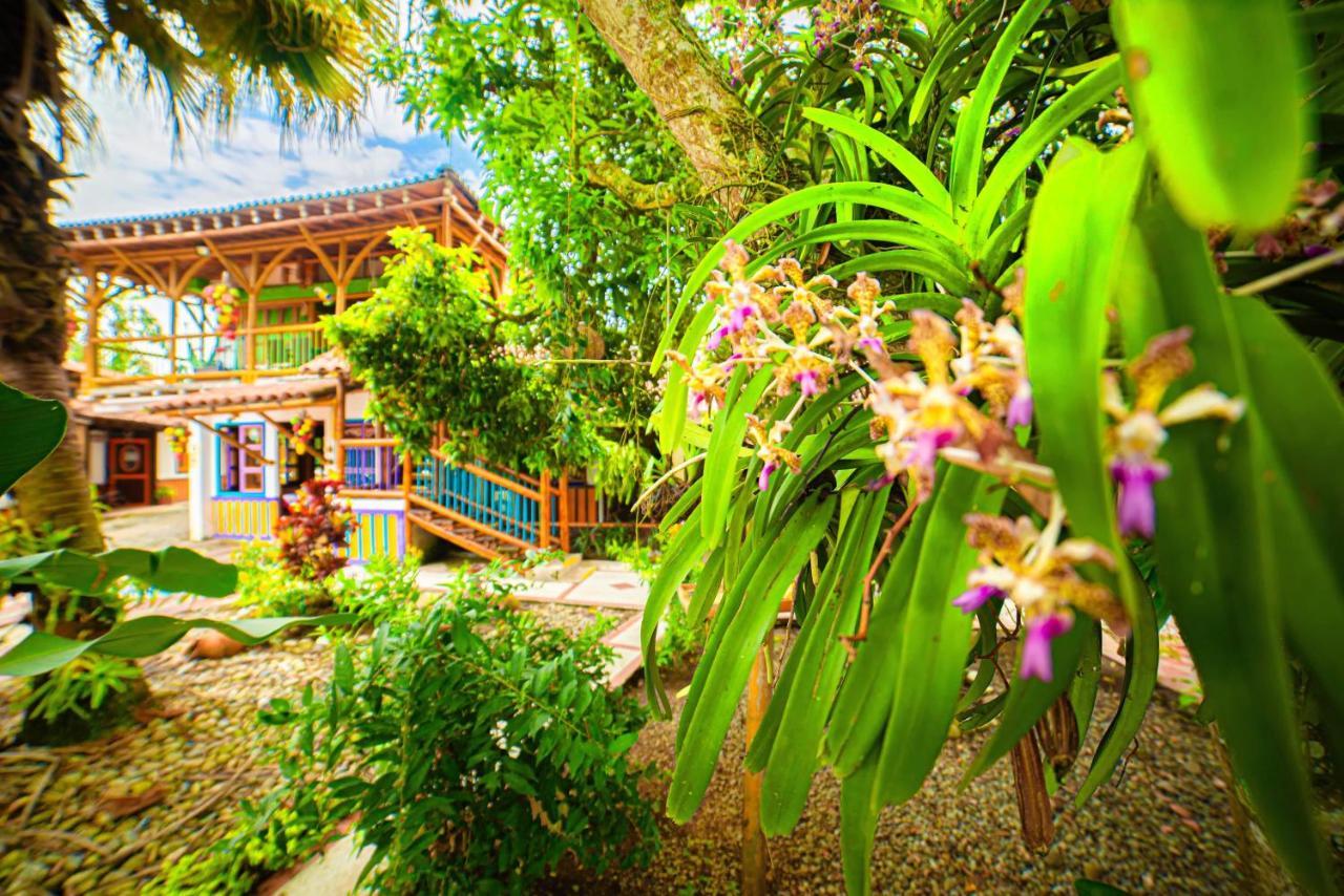 Eco Hotel Las Palmas Puerto Espejo Eksteriør billede